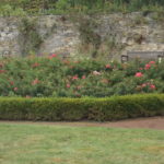 dscf3701